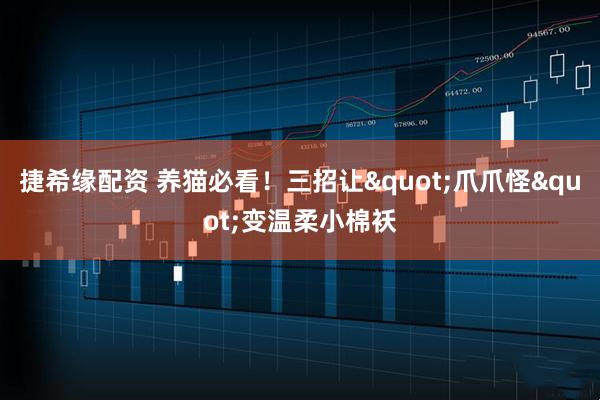 捷希缘配资 养猫必看！三招让"爪爪怪"变温柔小棉袄