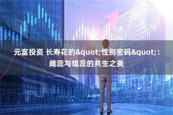 元富投资 长寿花的"性别密码"：雌蕊与雄蕊的共生之美