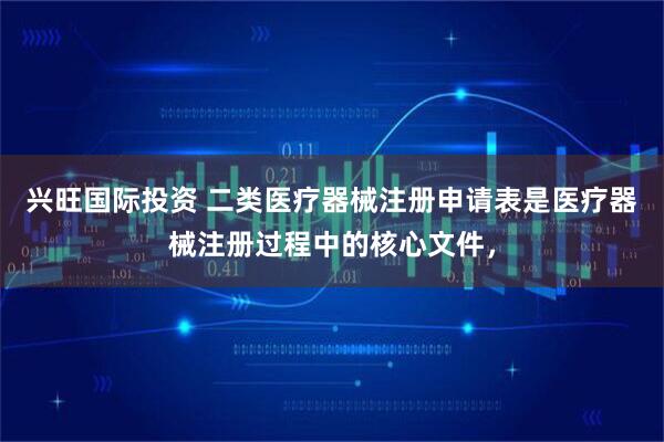兴旺国际投资 二类医疗器械注册申请表是医疗器械注册过程中的核心文件，