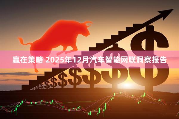 赢在策略 2025年12月汽车智能网联洞察报告